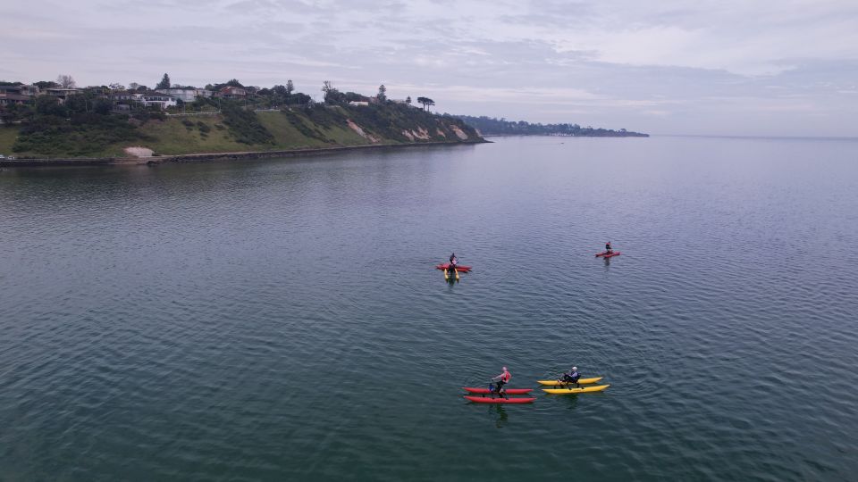 Frankston: Port Phillip Bay Water Bike Tour - Booking Information