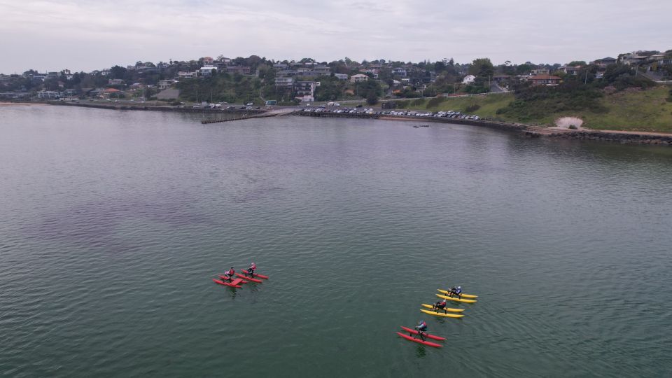 Frankston: Port Phillip Bay Water Bike Tour - Restrictions