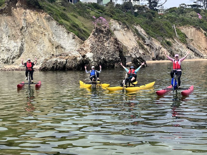 Frankston: Port Phillip Bay Water Bike Tour - Recap