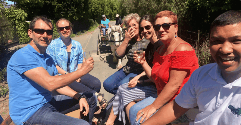 Franschhoek: 2h Premium Wine Tasting & Carriage Trail - Experience Overview