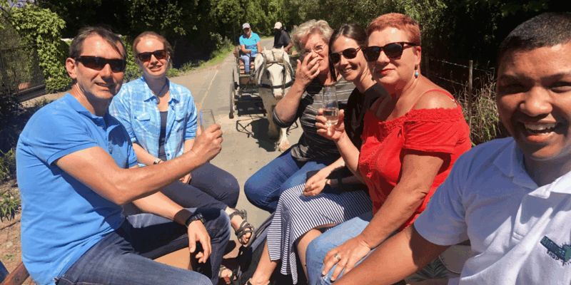 Franschhoek: 2h Premium Wine Tasting & Carriage Trail - Premium Wine Tasting