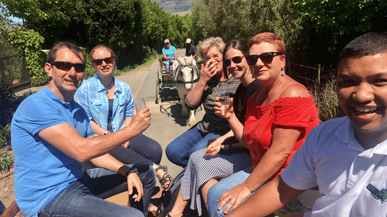 Franschhoek: 2h Premium Wine Tasting & Carriage Trail - Horse-Drawn Carriage Ride
