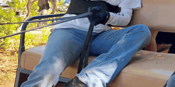 Franschhoek: 2h Premium Wine Tasting & Carriage Trail - Frequently Asked Questions
