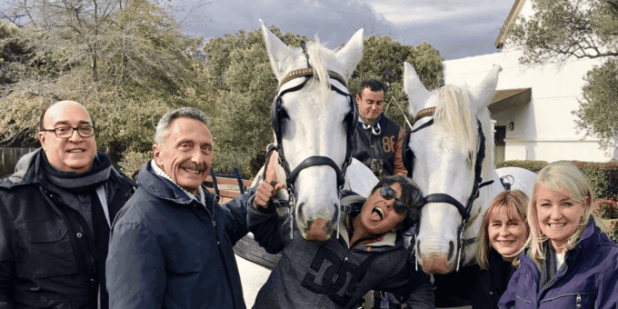 Franschhoek: 2h Premium Wine Tasting & Carriage Trail - The Sum Up