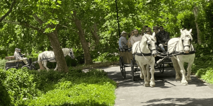 Franschhoek: 2h Private Engagement/Anniversary Carriage Ride - About Vrede En Lust