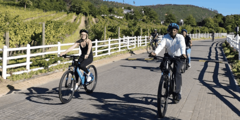 Franschhoek: E-Bike & Wine Tour (Shared Tour) - E-Bike Experience