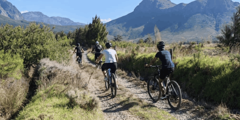 Franschhoek: E-Bike & Wine Tour (Shared Tour) - Wine Tasting Highlights