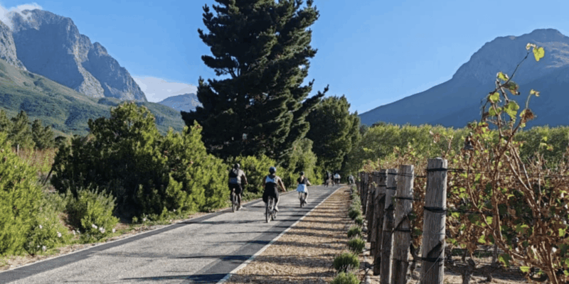 Franschhoek: E-Bike & Wine Tour (Shared Tour) - Breathtaking Scenery