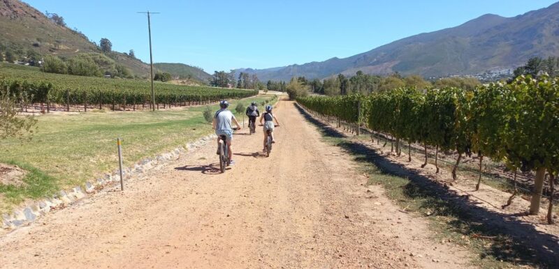 Franschhoek E-Bike & Wine Tour - Pricing and Reservations