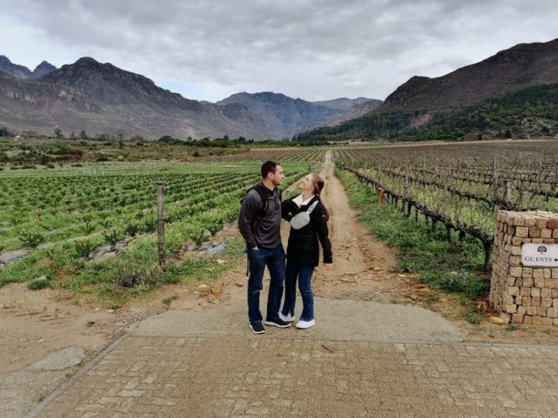 Franschhoek E-Bike & Wine Tour - Itinerary Highlights