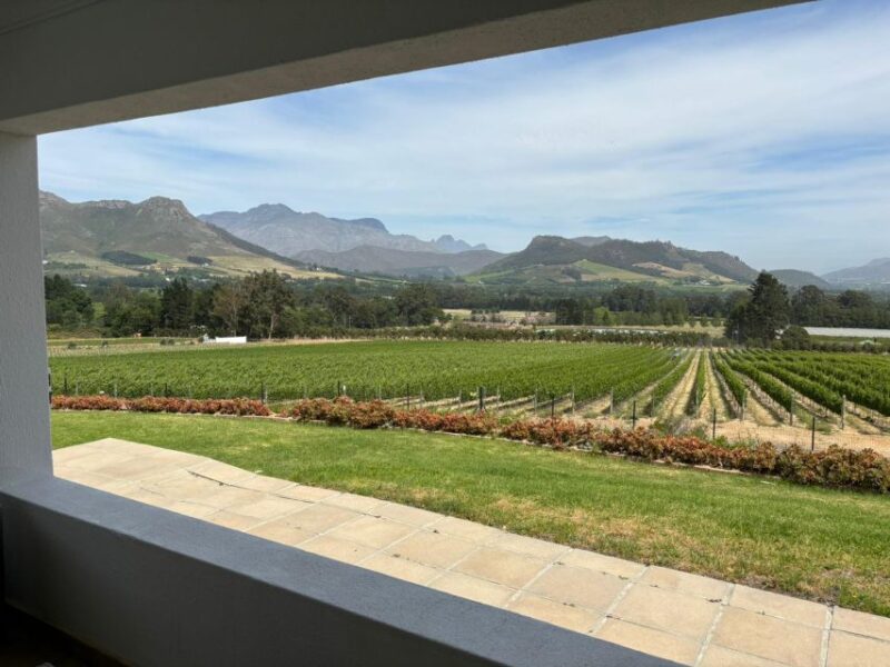 Franschhoek E-Bike & Wine Tour - Winemaking Techniques Discovered