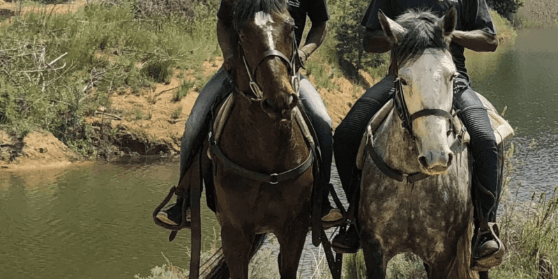 Franschhoek: Half Day Horse Trail and Wine Tasting - Good To Know