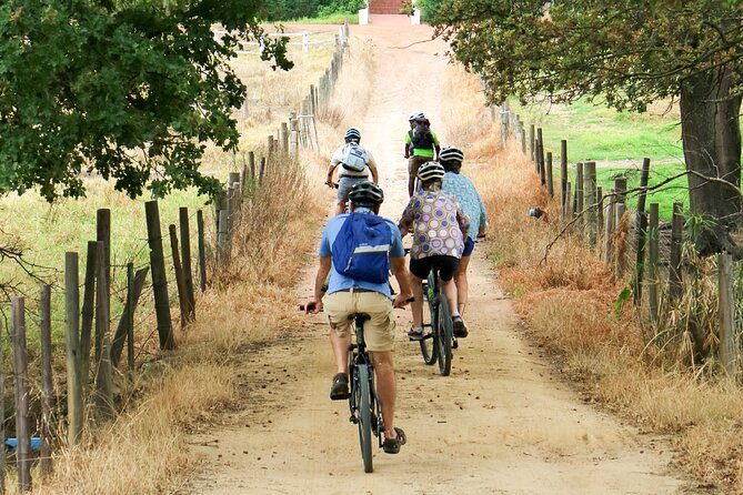 Franschhoek Winelands Luxury EBike Tour - Traveler Reviews