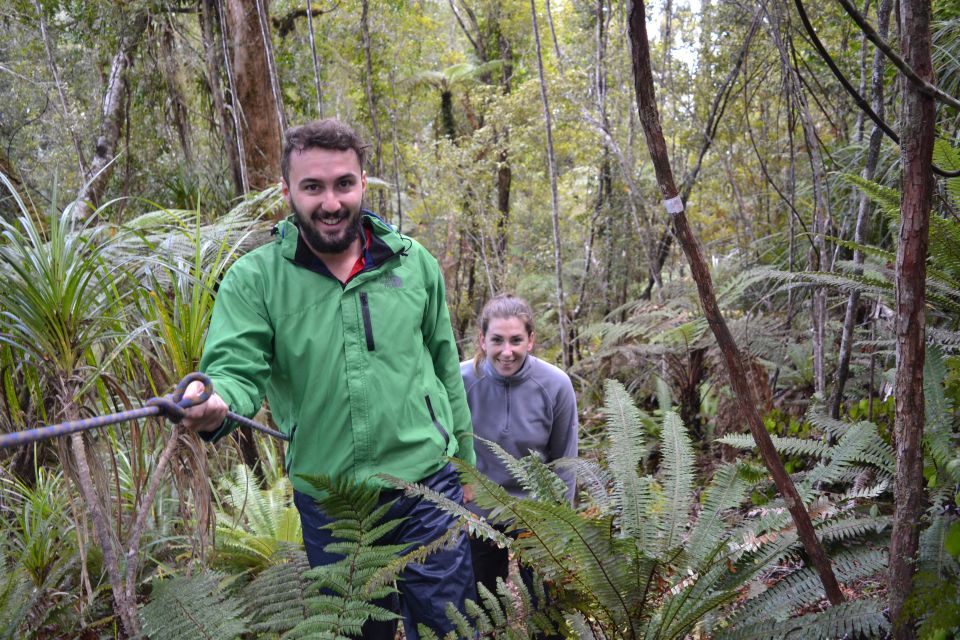 Franz Josef: Kayak & Walking Tour to Okarito Kiwi Sanctuary - Customer Reviews