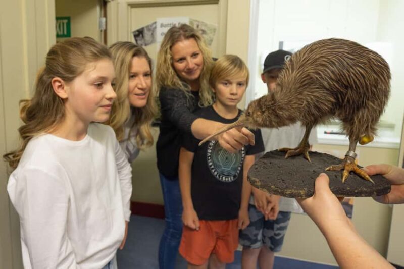 Franz Josef: Kiwi VIP Backstage Pass Tour -Booking Essential - An In-Depth Look at the West Coast Wildlife Centre and the Tour Itinerary