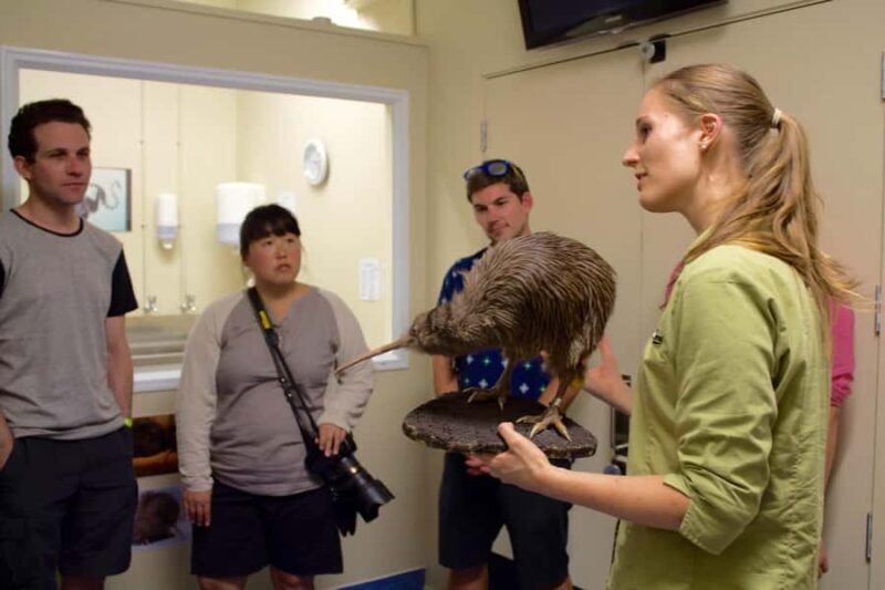 Franz Josef: Kiwi VIP Backstage Pass Tour -Booking Essential - Analyzing the Value