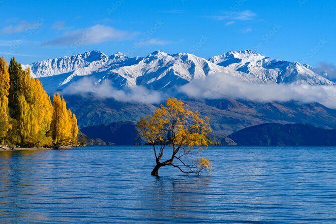 Franz Josef to Queenstown Small Group Tour via Wanaka 1 -Way - Who Should Take This Tour?
