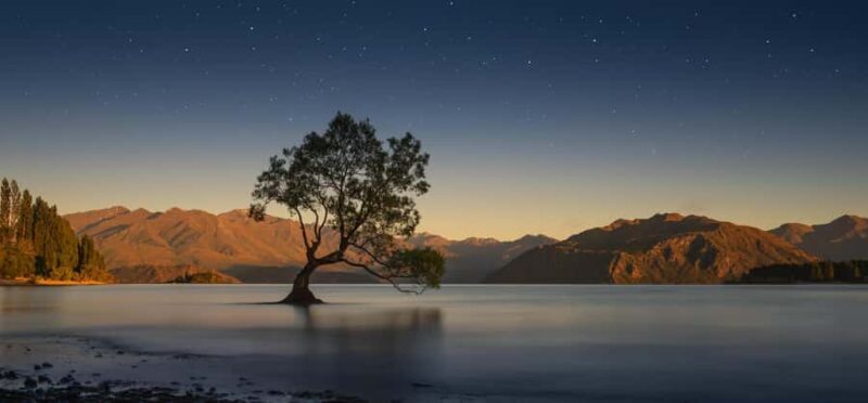 Franz Josef to Queenstown Tour via Wnaka - Who Is This Tour Best For?