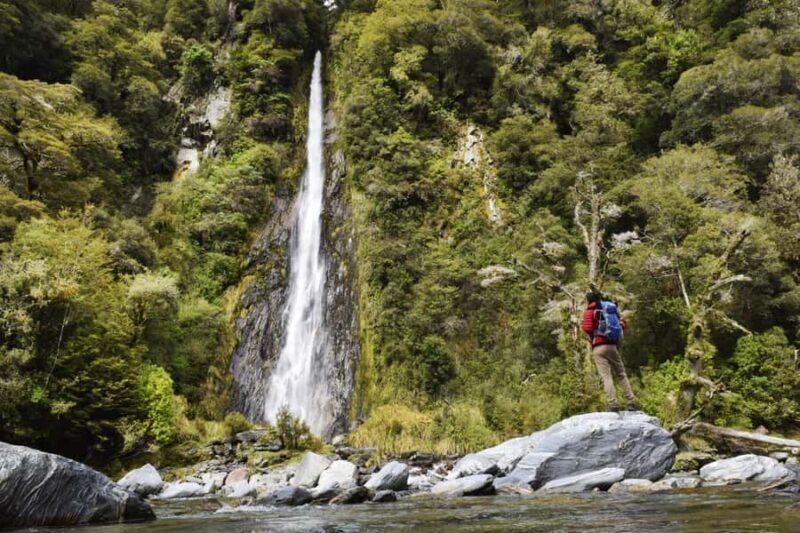 Franz Josef: to Wanaka Small Group 1 Way Tour with Lunch - A Practical Itinerary for Visualizing Your Day