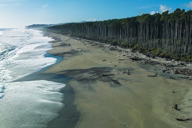 Franz Josef to Wanaka Small-Group Tour (One-Way) Includes Lunch - The Sum Up: Why This Tour Delivers Real Value