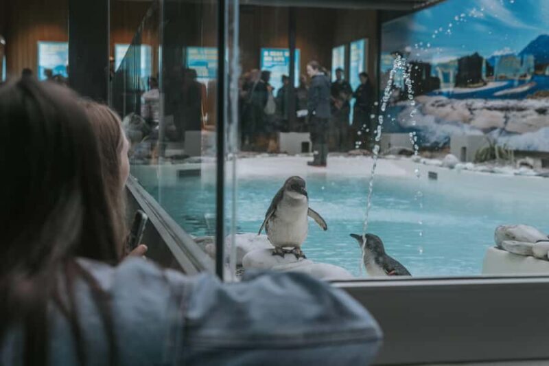 Franz Josef: West Coast Wildlife Centre Entry Ticket -48 hrs - A Deep Dive into the Experience