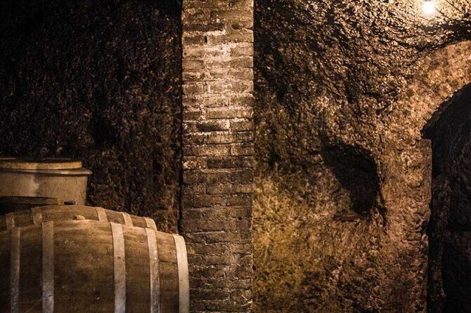 Frascati Day Tour: Road from Rome with Wine Tasting & Lunch - Journey Through Frascati: What to Expect