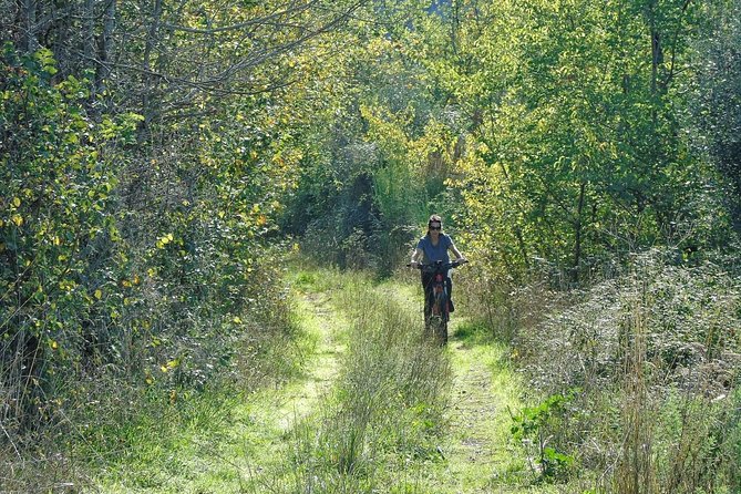 Frascati, Grottaferrata and Forest Tour With Wine Experience by E-Bike - Tour Details