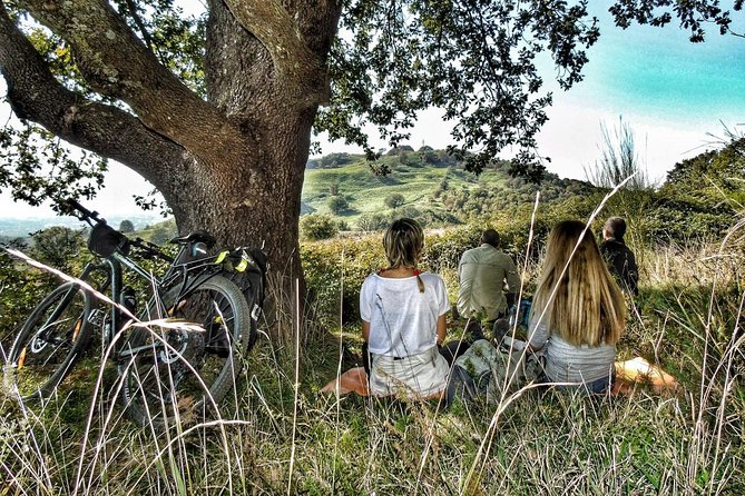 Frascati, Grottaferrata and Forest Tour With Wine Experience by E-Bike - Discovering Grottaferrata
