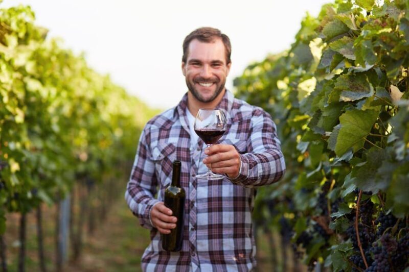 Frascati Private Tour w/ Lunch & Wine Tasting in a Vineyard - Key Points