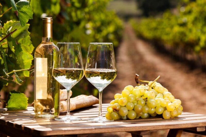 Frascati Private Tour w/ Lunch & Wine Tasting in a Vineyard - Why This Tour Offers Real Value