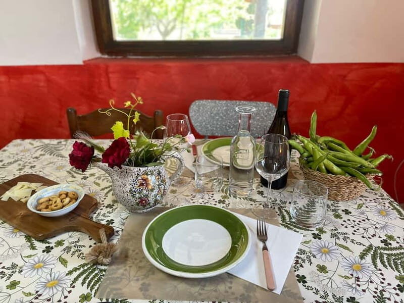 Frascati: Vineyard Wine Tasting Tour with Snacks - Introduction: A Short Escape with Big Flavors