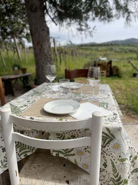 Frascati: Vineyard Wine Tasting Tour with Snacks - FAQs