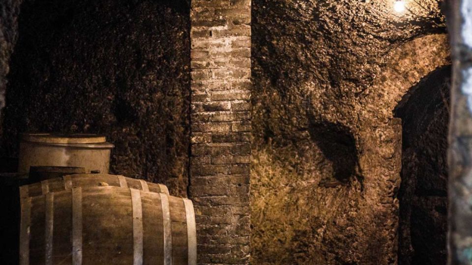 Frascati Wine Road From Rome: Tasting & Lunch - Exploring the Frascati Region