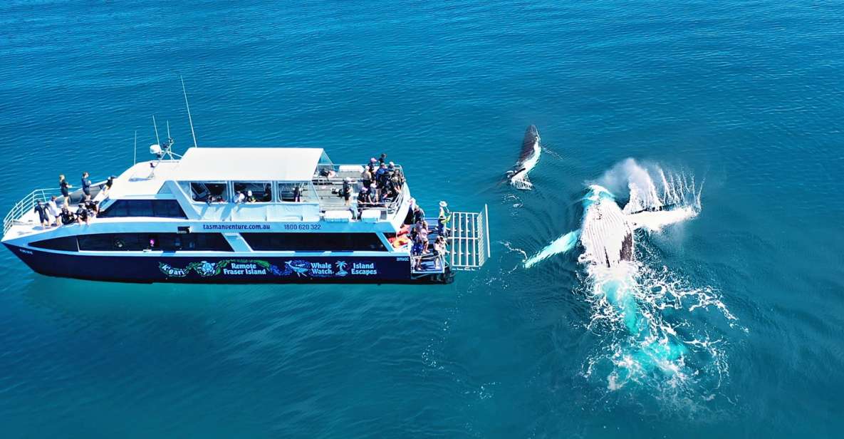 Fraser Island (Kgari): Remote Island and Whale Experience - Key Points