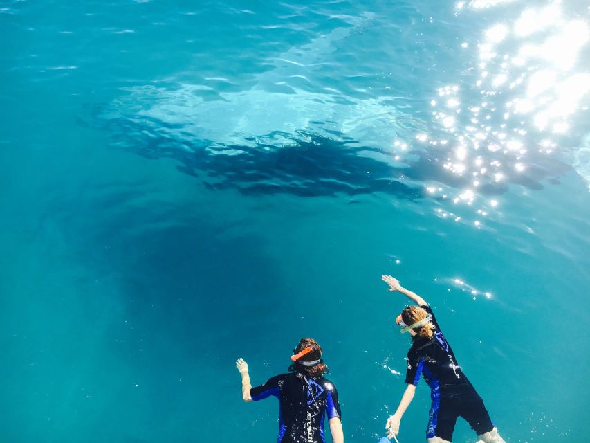 Fraser Island (Kgari): Remote Island and Whale Experience - Island Exploration