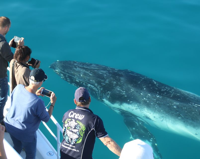Fraser Island (Kgari): Remote Island and Whale Experience - Customer Reviews