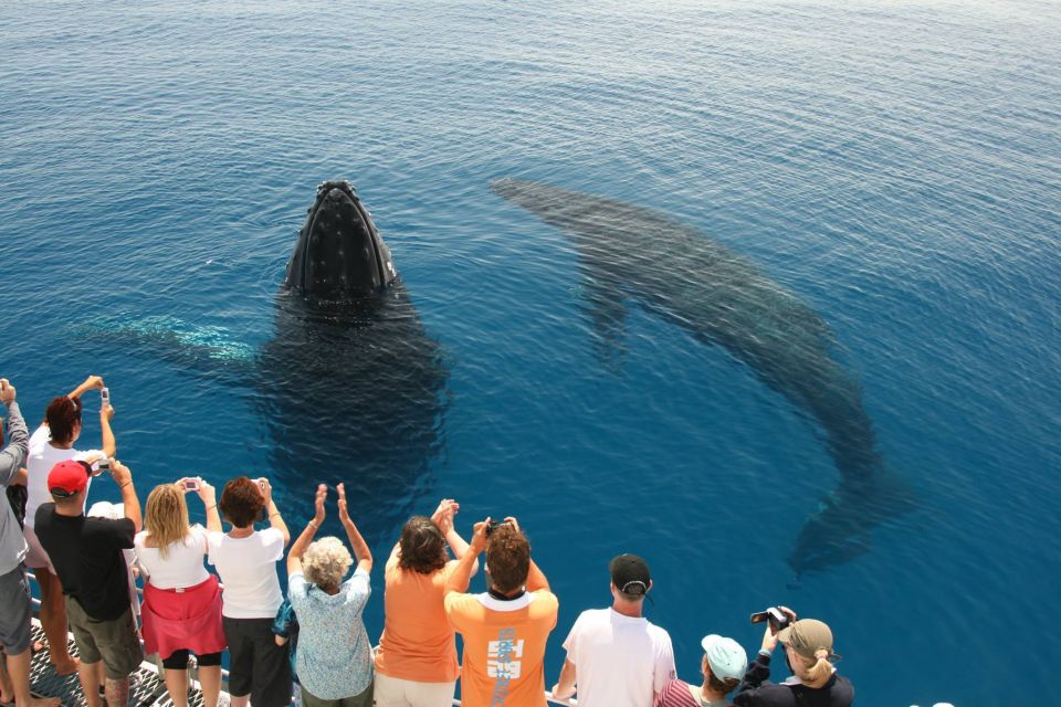 Fraser Island (Kgari): Remote Island and Whale Experience - Important Information