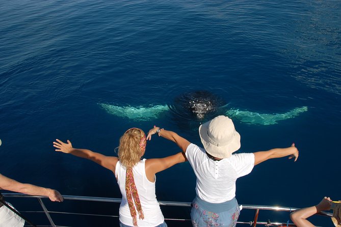 Fraser Island Whale Watch Encounter - Itinerary and Schedule