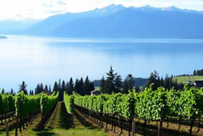 Fraser Valley Wine Escape Full Day Tour from Vancouver - An In-Depth Look at the Fraser Valley Wine Escape Tour