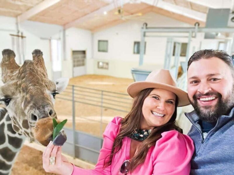 Fredericksburg: Longneck Manor Animal Encounter - An up-close look at Longneck Manor Animal Encounter