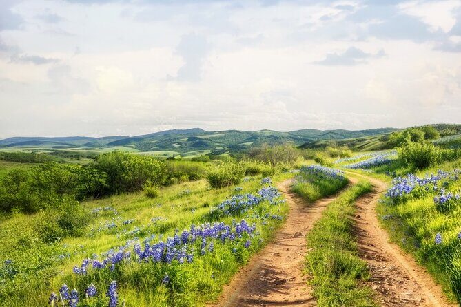 Fredericksburg Luxury Shopping and History and Culture Tour - Transportation and Group Size