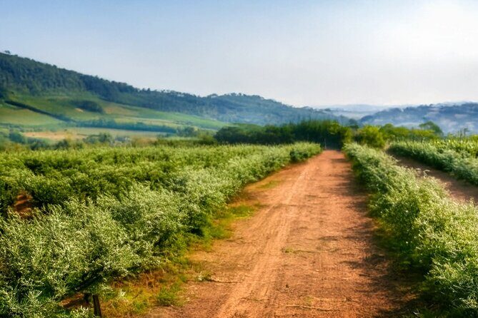 Fredericksburg Luxury Shopping and History and Culture Tour - FAQs