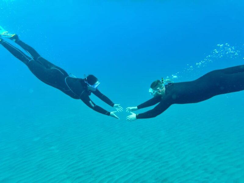 Free Diving and Snorkeling Experience Turtle Beach - Pricing and Booking