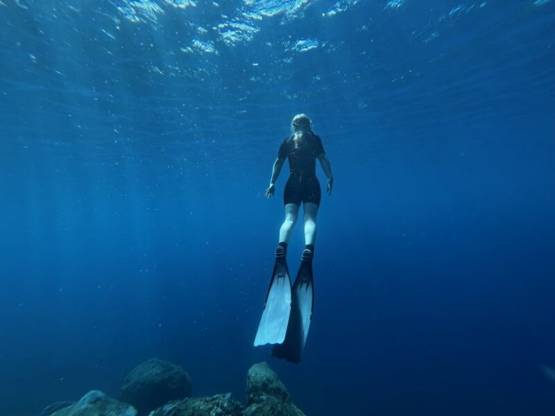 Free Diving and Snorkeling Experience Turtle Beach - Meeting Point and Access