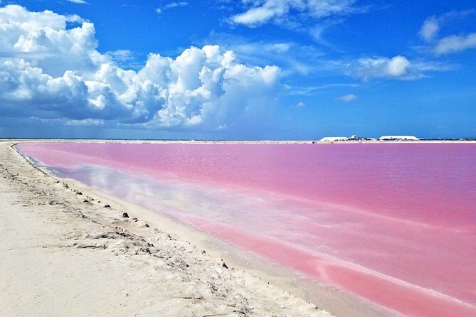 Free Yourself at Las Coloradas Natural Pink Lake! Tour from Playa Del Carmen - FAQ