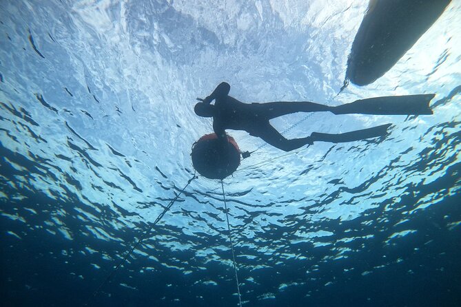 Freediving at Museum Atlantico - Customer Reviews and Ratings