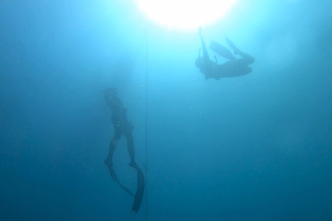 Freediving in Costa Rica - Meeting and Pickup Details