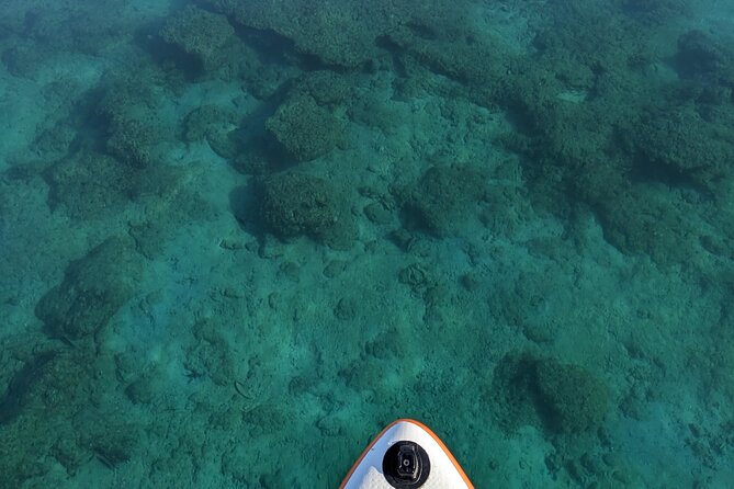 Freediving in Costa Rica - Health and Safety Considerations