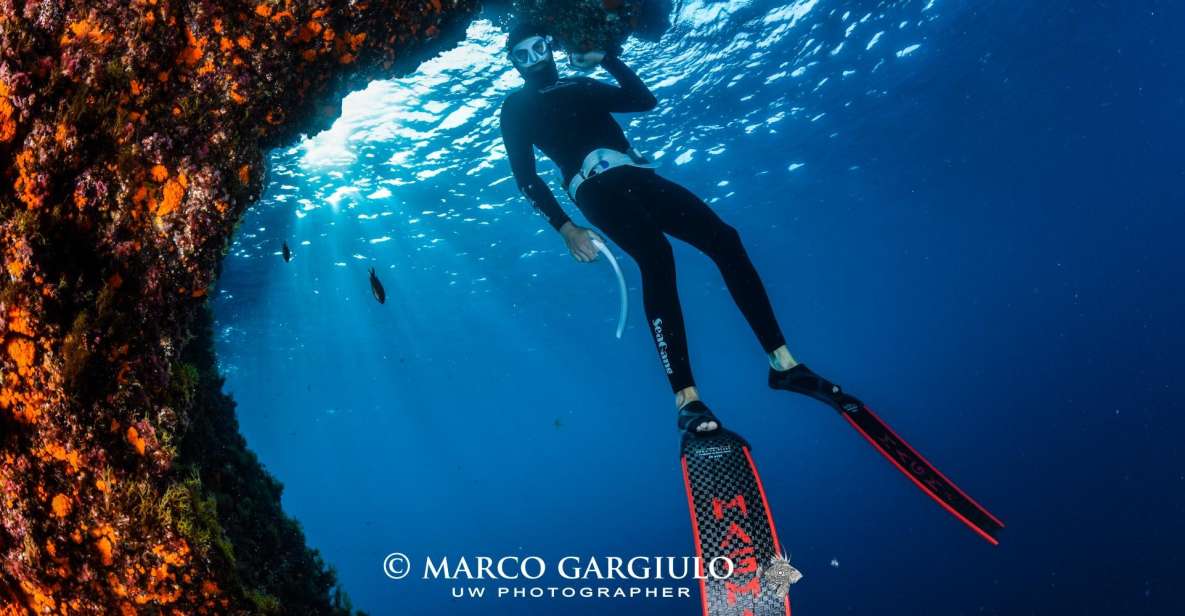 Freediving in the Wild of the Amalfi Coast/Capri/Sorrento: - Enchanting Waters Exploration