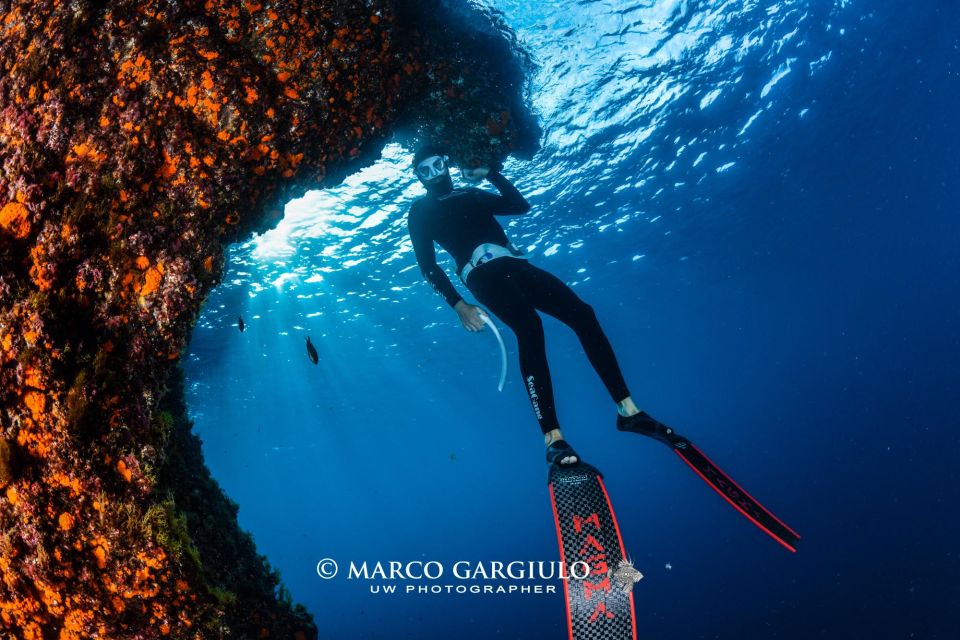 Freediving in the Wild of the Amalfi Coast/Capri/Sorrento: - Underwater Beauty Encounter